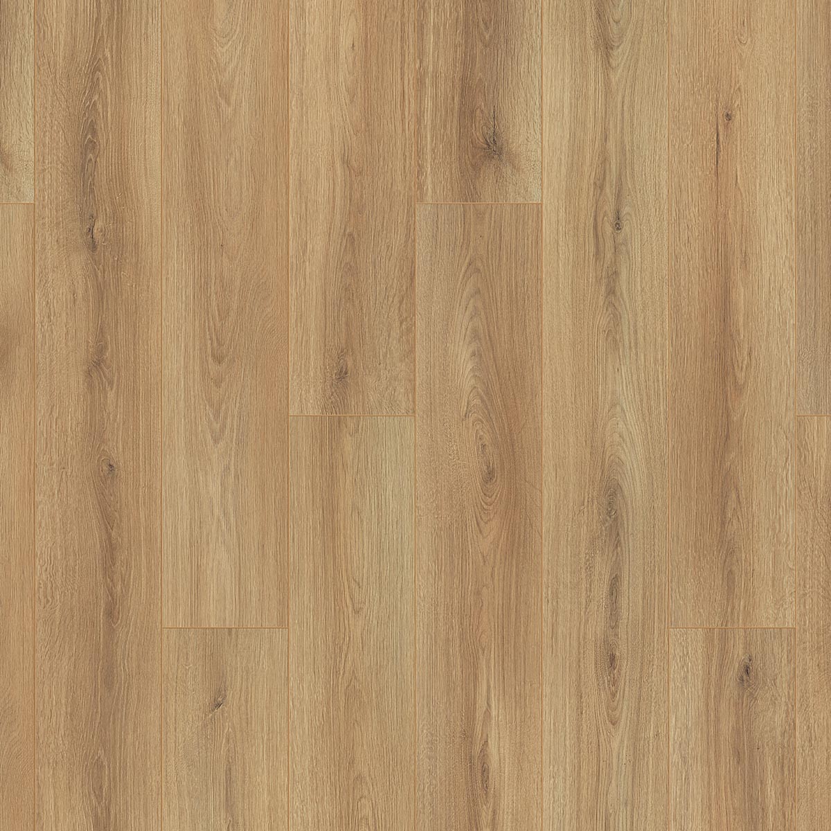 03440_OTIUM_Amber_taupe OTIUM Amber taupe - Afbeelding 1