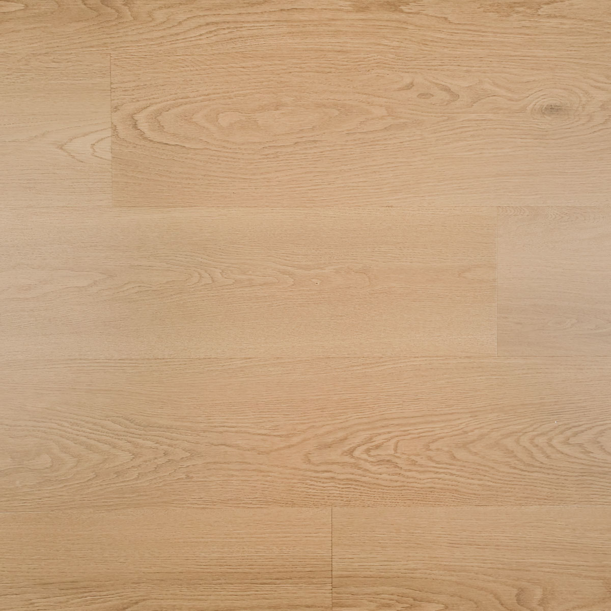 10818-10846-Mango OTIUM Ryle plank Dryback UM - Afbeelding 1