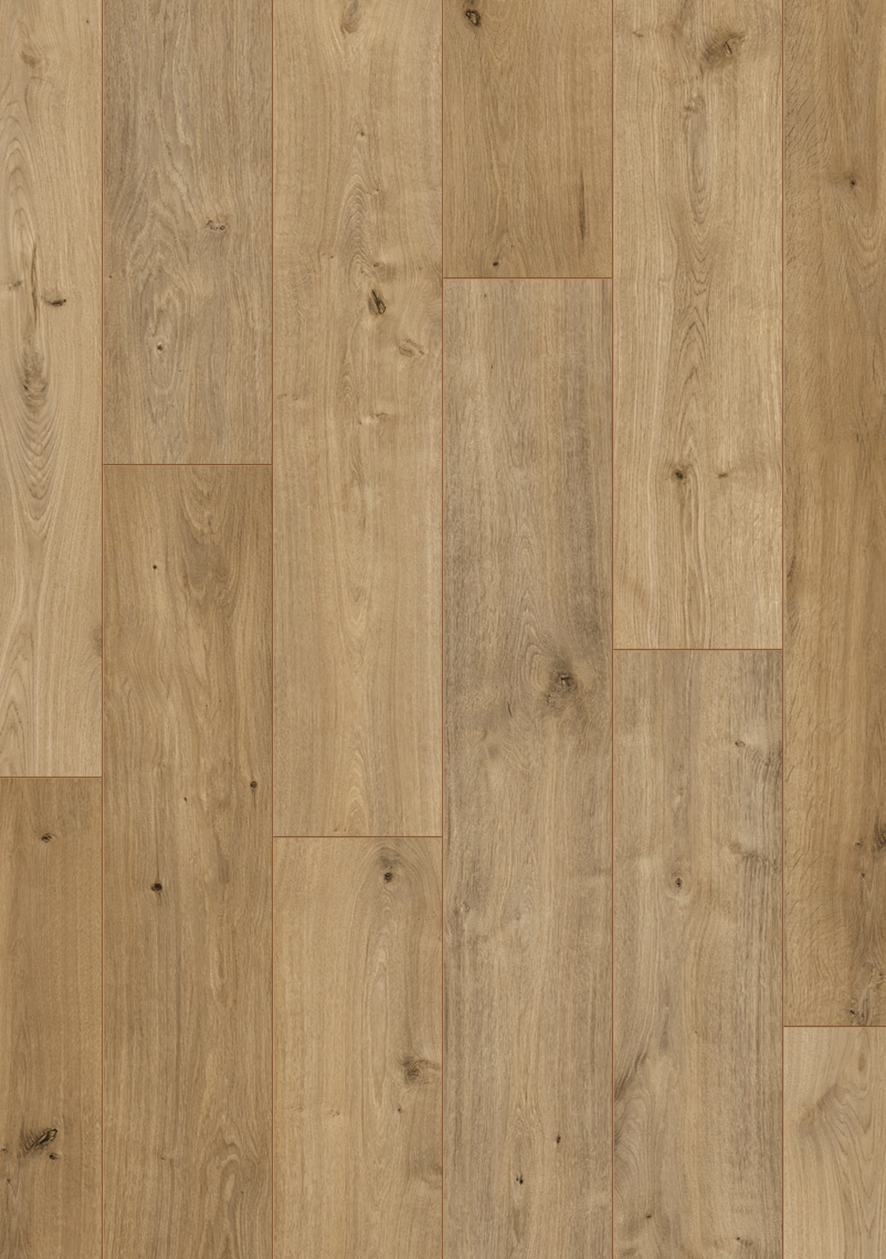 BF Laminaat Ardennen Bertrix_Topshot Beautifloor ARDENNEN Bertrix - Afbeelding 1
