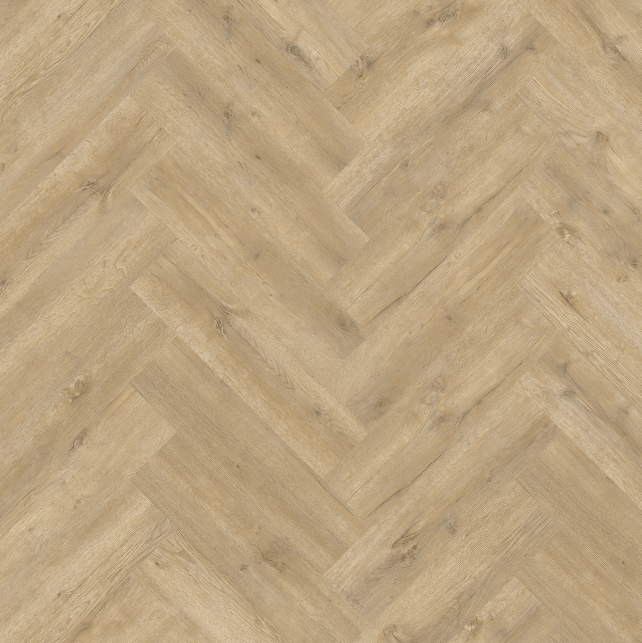 Schermafbeelding 2026-05-07 144828 Beautifloor ZEELAND Bruinisse - Afbeelding 1
